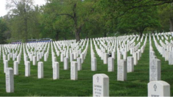 Новое воинское кладбище в Киеве площадью 266 гектар