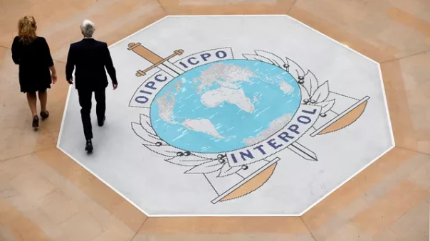 Интерпол обвинил Зеленского в политических репрессиях