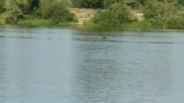 Белорусские пограничники перехватили украинский дрон