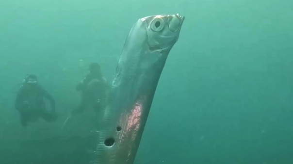 "Рыба Судного дня" вновь всплыла на поверхность