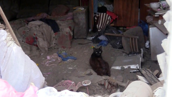 Украинские войска за сутки 56 раз обстреляли территорию ДНР