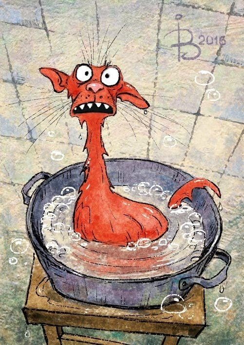 Котопост: Из мудрых мыслей  кота Семёна