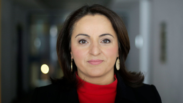 Немецкий депутат: в ФРГ преуменьшается роль неонацизма на Украине