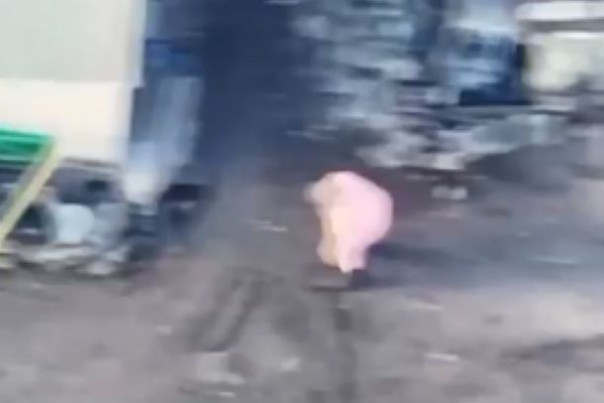 Найден лучший камуфляж этой войны