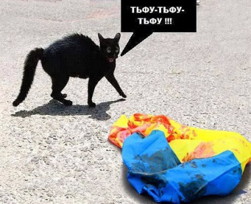 С Сейма и Нацбанка Польши сняты украинские флаги