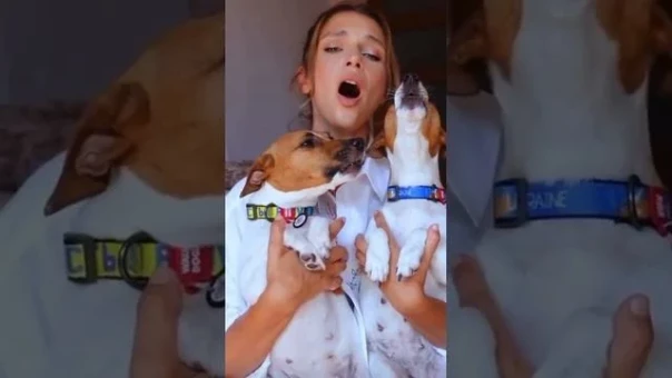 Щеня вмерла