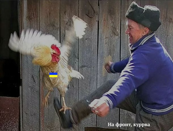 Польша выдает Киеву украинских мужчин-беженцев призывного возраста