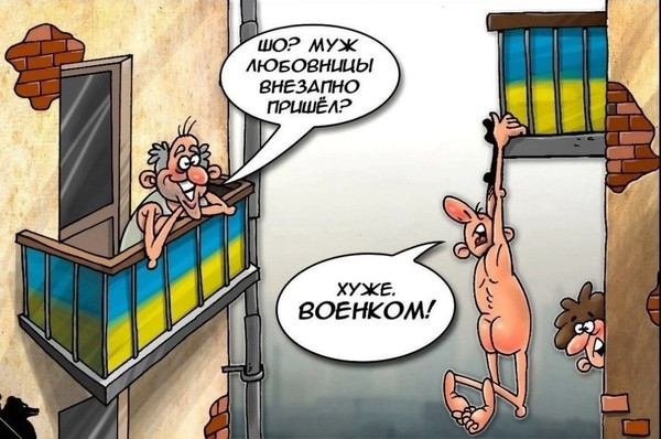 "Мыздобулы" в картинках. Смешных и не очень... 15.10.2023