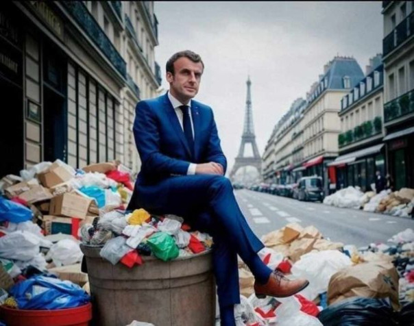 Столицу Франции «оккупировали» клопы и грызуны