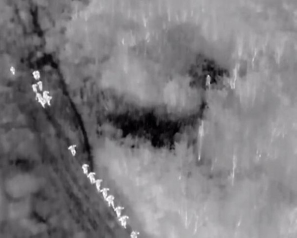 Стартовал сезон "Массовая сдача в плен" - остальным ВСУшникам пора присоединиться