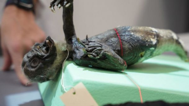 Вот чучело: Учёные раскрыли, что собой представляет жуткая "фиджийская русалка"