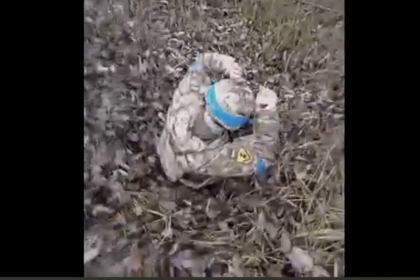 Захисницы с приплодом