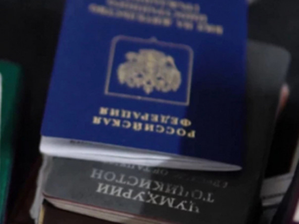 Семью мигрантов выдворяют из России после драки сына в нижегородской школе