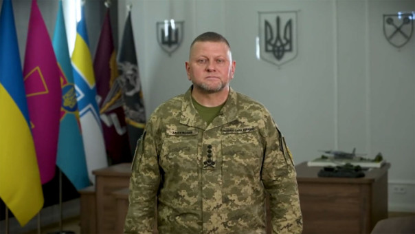 Нет плана войны на 2024-й: Безуглая потребовала от Залужного подать в отставку