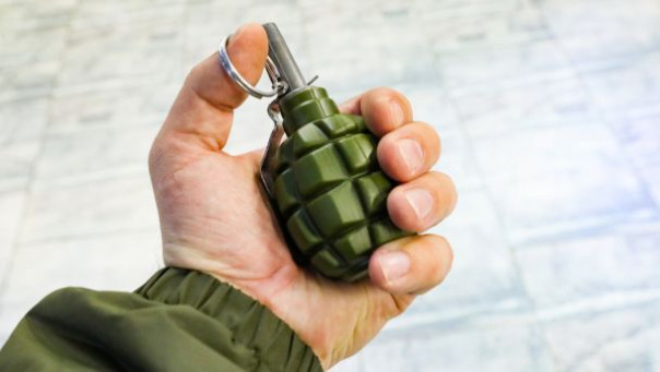 Тайник с гранатами нашли в стволе дерева возле АЗС в Курской области