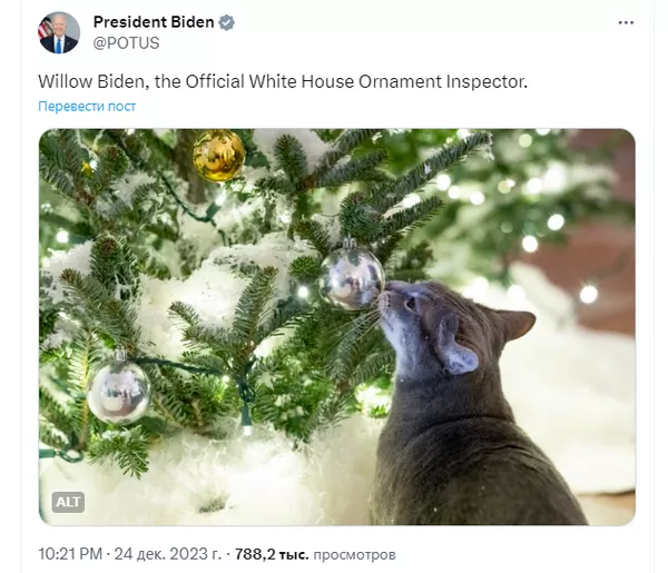 Американцы подняли на смех Байдена из-за фото с кошкой