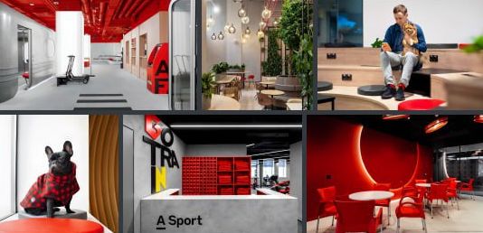 «Альфа-банк» не стал отменять Собчак — в каналах «Кровавой барыни» появился новый рекламный пост