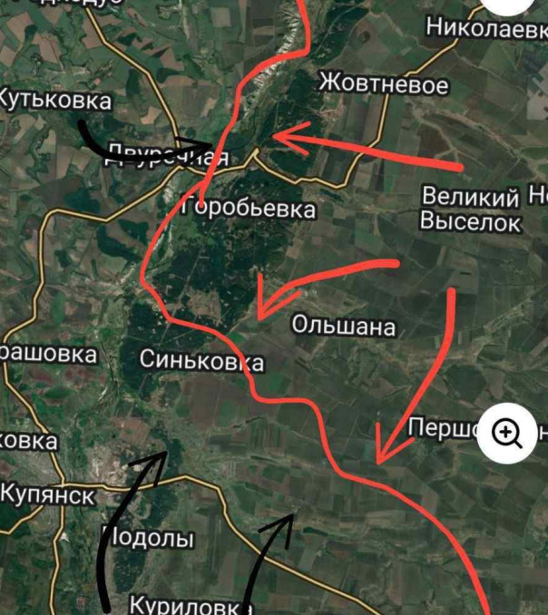 Синьковка наша?