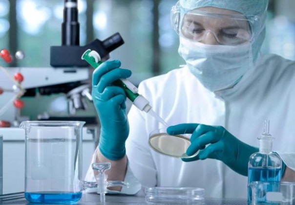 Для чего нужны донорские половые клетки