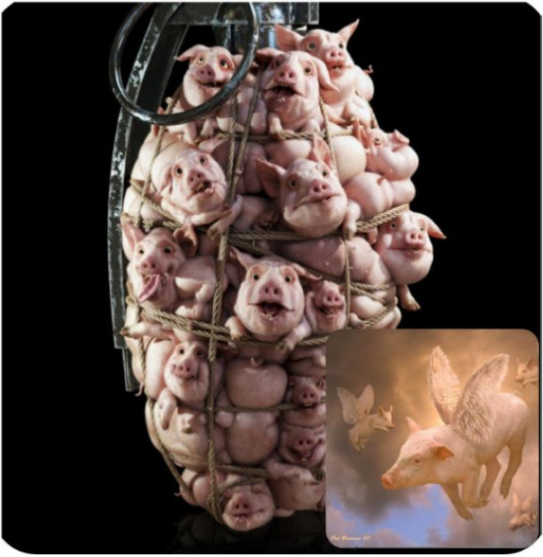 Про Изюмско-​Балакейскую "катастрофу" и не только