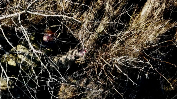 Российские бойцы спасли украинку, брошенную солдатами ВСУ на поле боя