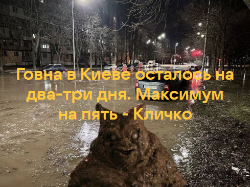 "Мыздобулы" в картинках. Смешных и не очень... 08.01.2024