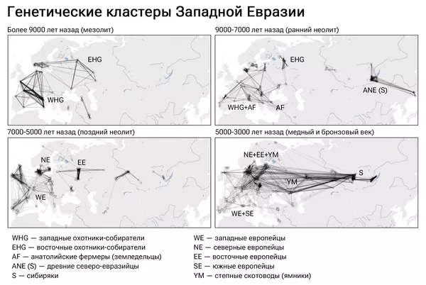 Нация мигрантов. Развеян главный миф о происхождении европейцев