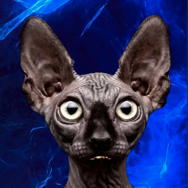 Кот Костян:  Желающие разделить Россию еще есть？