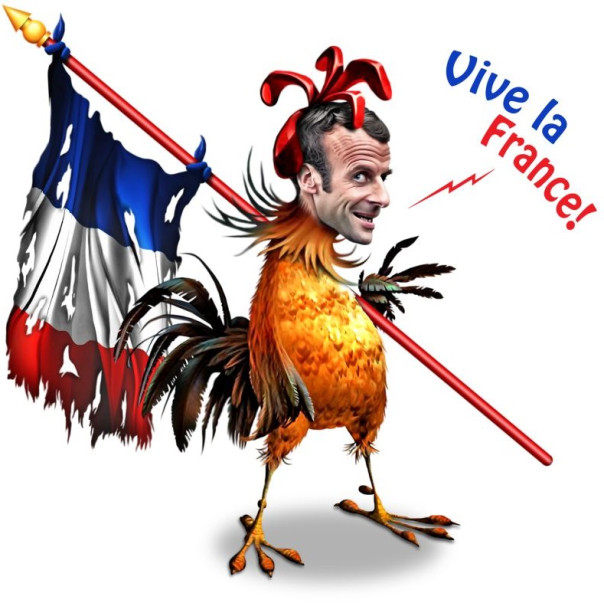 «Галльский петух» раскукарекался: в Париже усиливают поддержку режима Зеленского