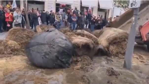 Пожар протестов в Европе: Бельгия, Франция, Германия, Италия, Нидерланды, Норвегия, Польша, Румыния, Шотландия, Словения, Испания, Литва