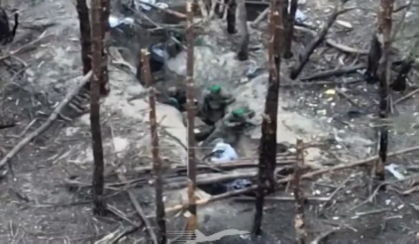 Бойня у Синьковки: бойцы ЗВО уничтожили целое подразделение ВСУ в окопах