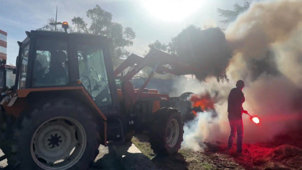 BFMTV: за попытку захватить рынок Ранжис под Парижем задержаны 79 фермеров