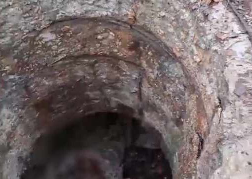 На Марьинском направлении укровояки сбрасывают трупы "побратымов" в канализацию