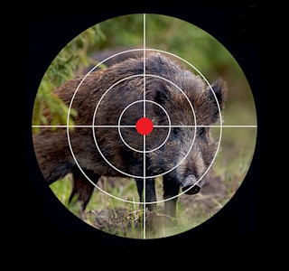 Одесса: Сезон охоты на военкомов открыт