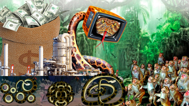 Мудрый Каа лечит, прикладывая демократию