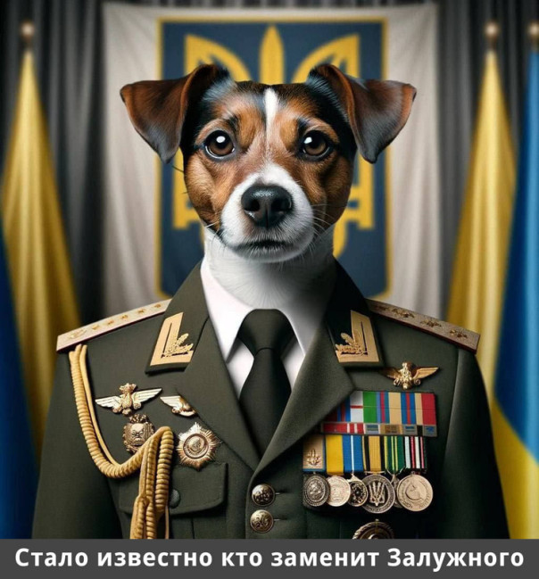 "Мыздобулы" в картинках. Смешных и не очень... 03.02.2024