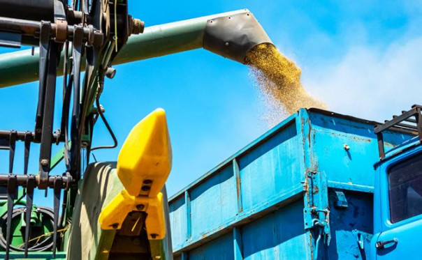 Зерновая сделка-2: Зеленский ищет варианты на Балтике