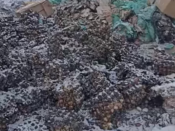 Омичи обнаружили в городе свалку с десятками тысяч куриных яиц