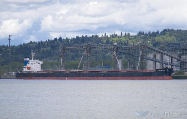 Хуситы сегодня атаковали принадлежащие США и Великобритании коммерческие корабли Star Nasia и Morning Tide.