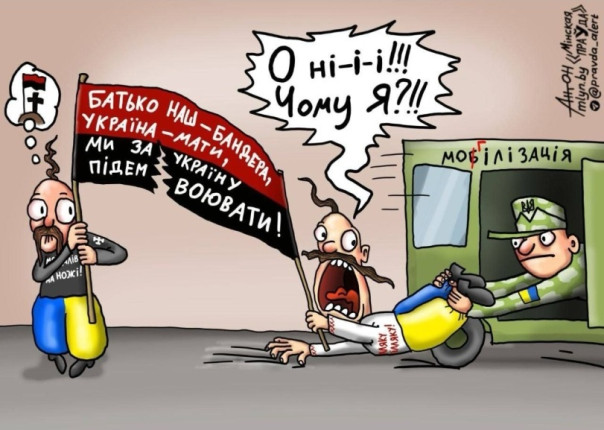 "Мыздобулы" в картинках. Смешных и не очень... 11.02.2024