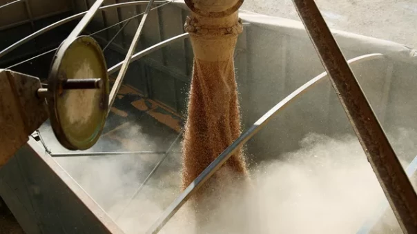 Зерновая схватка нанайских девочек. Ростислав Ищенко