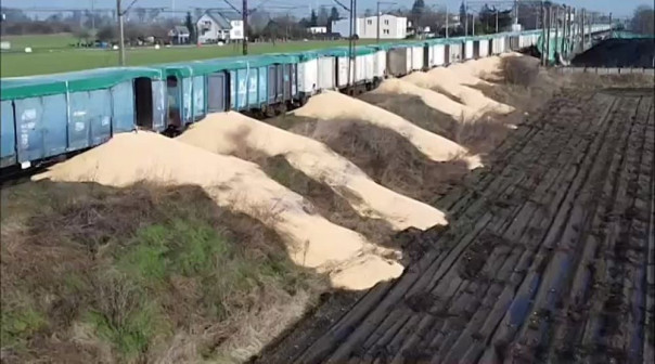 В Польше неизвестные высыпали 160 тонн украинского зерна на железнодорожной станции