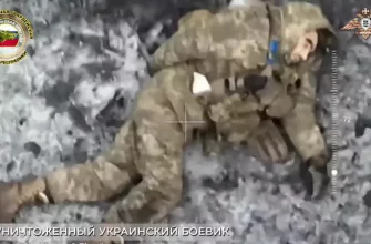 Украинские боевики пустились в бегство со своих позиций, оставив раненых на верную смерть