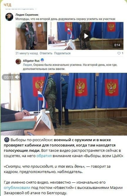 Вот такой свиноголливуд показывают сейчас украинцам в Сети