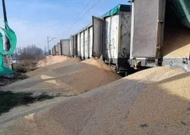 «Зерновая война» войдет в историю отношений между Украиной и Польшей