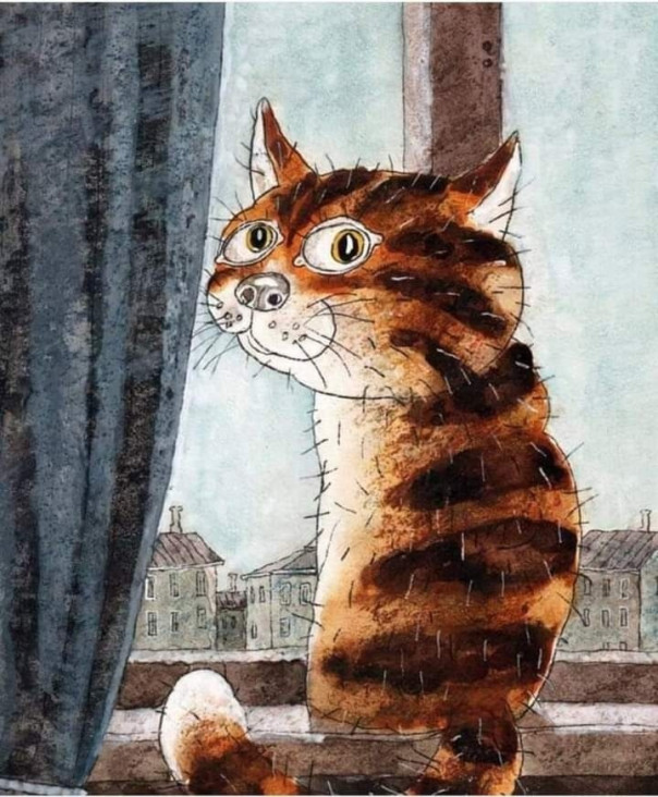 Котопост о котосчастье