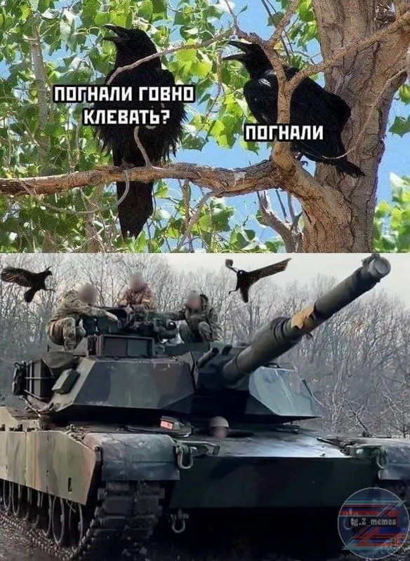 "Мыздобулы" в картинках. Смешных и не очень... 07.04.2024