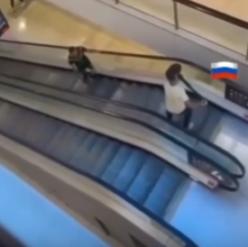 В Сиднее русский парень остановил террориста, убившего пять человек