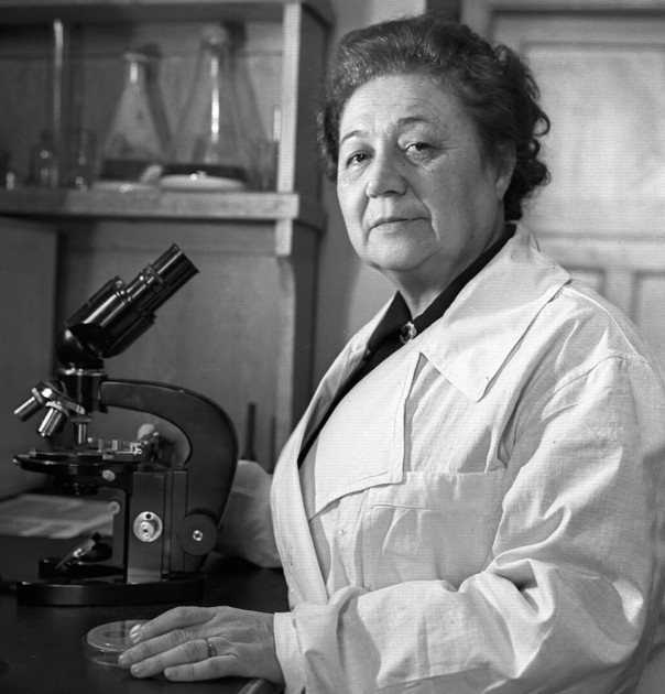 Врач, который помог отстоять Сталинград: Забытая история великого эпидемиолога Зинаиды Ермольевой