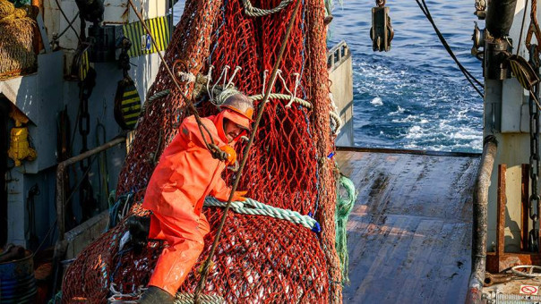 Компании «крабовых королей» России перешли в собственность государства